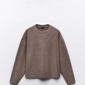 Zara Brown Sweater